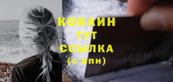 дживик Баксан