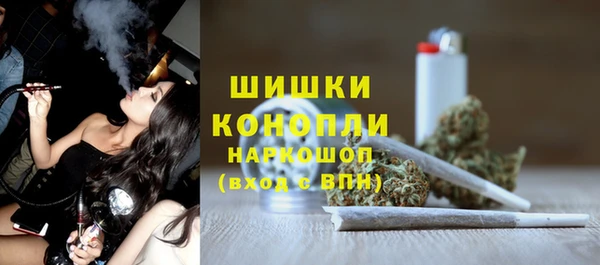 прущие грибы Балабаново