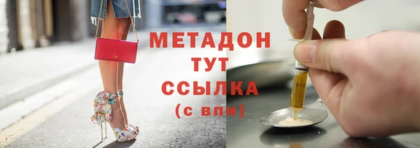 прущие грибы Балабаново
