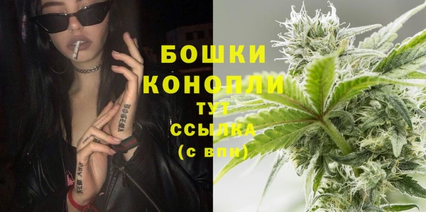 дживик Баксан