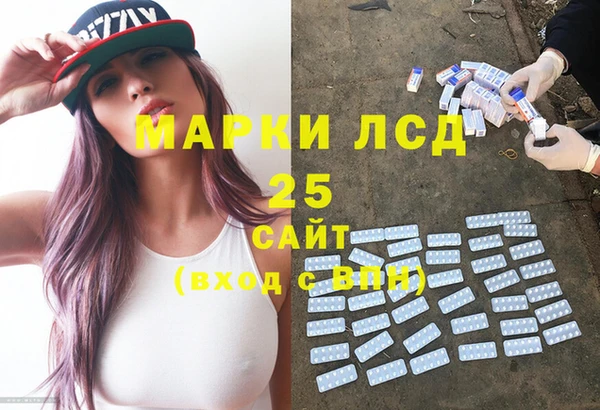 прущие грибы Балабаново