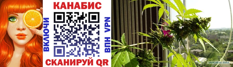 Шишки марихуана OG Kush  Купить закладки  Будённовск 